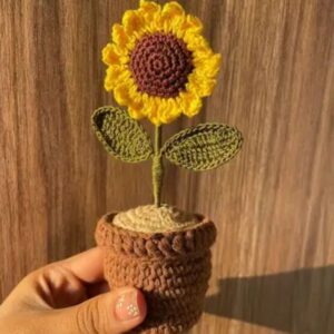 Flower Pot Crochet