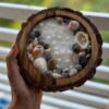 Wooden Bowl Sea Shell Theme Candle