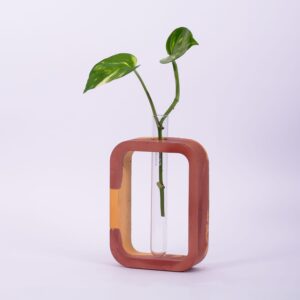 Test tube Planter - rectangle