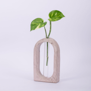 Test tube Planter Oval