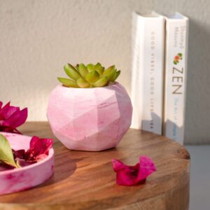 Desk dwell planter (only Planter)