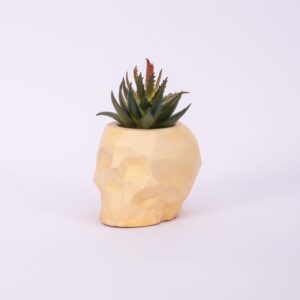 Skull Planter/Holder